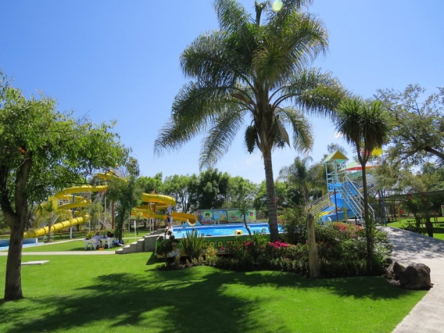  The park 